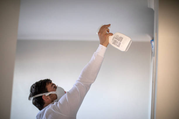 Professional Mold Removal in Woodland Park, NE
