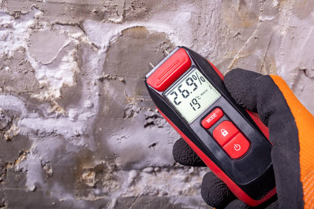 Best Best Mold Removal Companies  in Woodland Park, NE